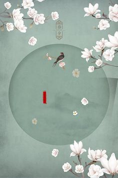 沈浩秦菲雪黑人教练